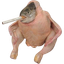 Scf smoking chicken fish logo